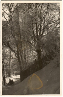 Zabawy dziecięce zimą