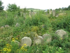 Deliatyn, Jewish cemetery
