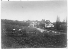 Ostroh, the general view of the town