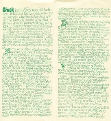 Kaligrafia, Zespół Pieśni Tańca Ludowego "Głusk" II