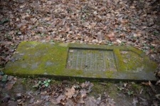 Izbica, macewa na cmentarzu żydowskim