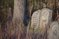 J&oacute;zef&oacute;w, cmentarz żydowski