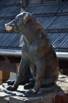 Kazimierz Dolny, rzeźba psa Werniksa