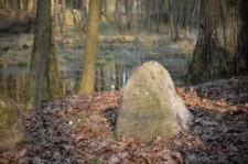 Knyszyn, cmentarz żydowski założony na groblach królewskich sadzawek