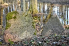 Knyszyn, the Jewish cemetery founded on the levees of royal ponds