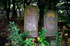 Macewy na cmentarzu żydowskim w Rohatynie