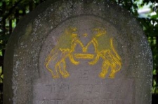 Polichromowana macewa na cmentarzu żydowskim w Rohatynie