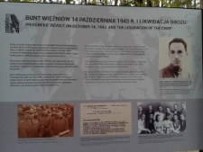 Sobib&oacute;r, plansza z wystawy czasowej