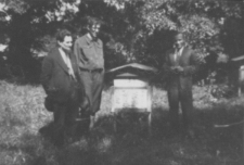 W pasiece Ogniska Kultury Rolnej w Zemborzycach w 1933 roku