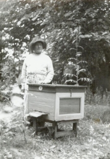 Stanisław Jasiński w swojej pasiece na Poczekajce koło Lublina w 1965 roku przy ulu nr 60