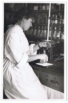 Rozlewnia miodu w Lublinie przy ulicy Staszica 5 około 1948 roku – pracownica w laboratorium