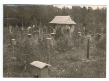 Trutowisko założone około 1935 roku w Dąbrowie Leśnej od strony Prawiednik – widok ogólny około 1945 roku