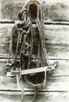 Kadr filmu pt. „Bartnictwo Puszczy Grodzieńskiej” z 1938 roku przedstawiający leziwo - przyrząd ułatwiający wspinaczkę do wysoko położonych barci