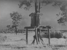 Kadr filmu pt. „Bartnictwo Puszczy Grodzieńskiej” z 1938 roku przedstawiający dwie barcie na podeście przy pniu sosny