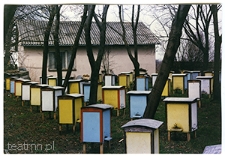 Pasieka Edwarda Guza w Motyczu-J&oacute;zefinie na tle domku