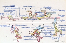 Schemat element&oacute;w maszyny do pisania