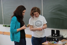 Warsztaty "Obraz pszczoły: symbolika i ikonografia" w Szkole Podstawowej nr 50 w Lublinie