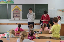 Warsztaty "Obraz pszczoły: symbolika i ikonografia" w Szkole Podstawowej nr 50 w Lublinie