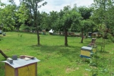 Widok na pasiekę J&oacute;zefa Jasiny