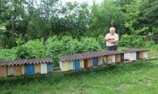 J&oacute;zef Jasina przy ulikach weselnych w swojej pasiece