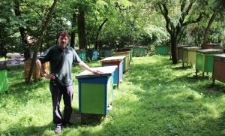 J&oacute;zef Michalewski w swojej pasiece