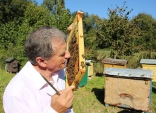 Kazimierz Solis z ramką pełną psczół