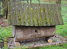 Kłoda leżak