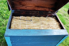 Wnętrze ula z matą