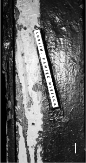 Lublin. Pamięć Miejsca