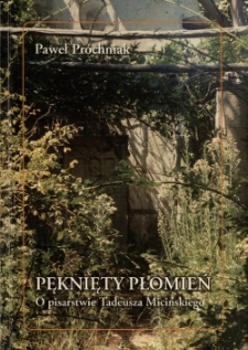 Pęknięty płomień. O pisarstwie Tadeusza Micińskiego