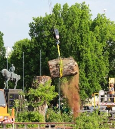 Wycinka "Baobabu" na placu Litewskim w dniu 23 maja 2017 roku
