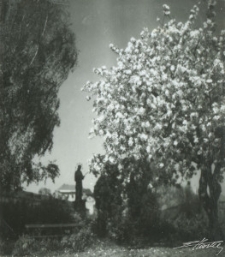 Figura św. Jana Nepomucena