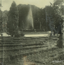 Ogr&oacute;d Saski w Lublinie