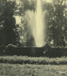 Ogr&oacute;d Saski w Lublinie