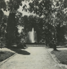 Ogr&oacute;d Saski w Lublinie