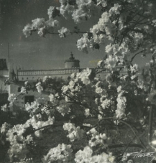 Widok na Zamek Lubelski