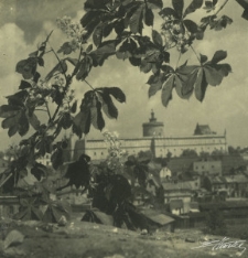 Widok na Zamek Lubelski i zabudowę Podzamcza