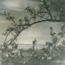 Widok na Zamek Lubelski i zabudowę Podzamcza