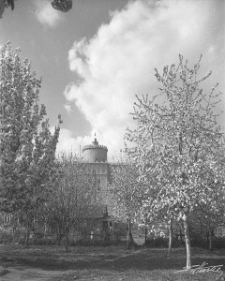 Widok na Zamek Lubelski