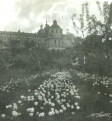 Widok na zabudowania klasztoru oo. Dominikan&oacute;w od strony ul. Podwale