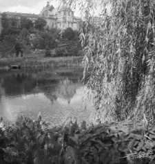 Okolice ul. Podwale w Lublinie