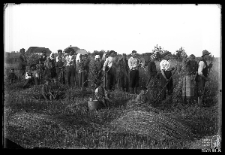 Group of people at harvest time