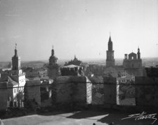 Panorama Starego Miasta w Lublinie