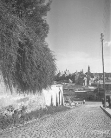 Widok na Podzamcze w Lublinie